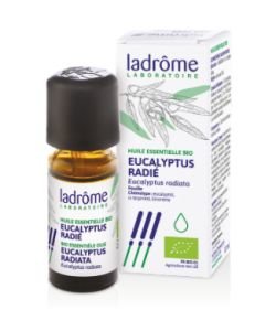 Eucalyptus radié (Eucalyptus radiata) BIO, 10 ml